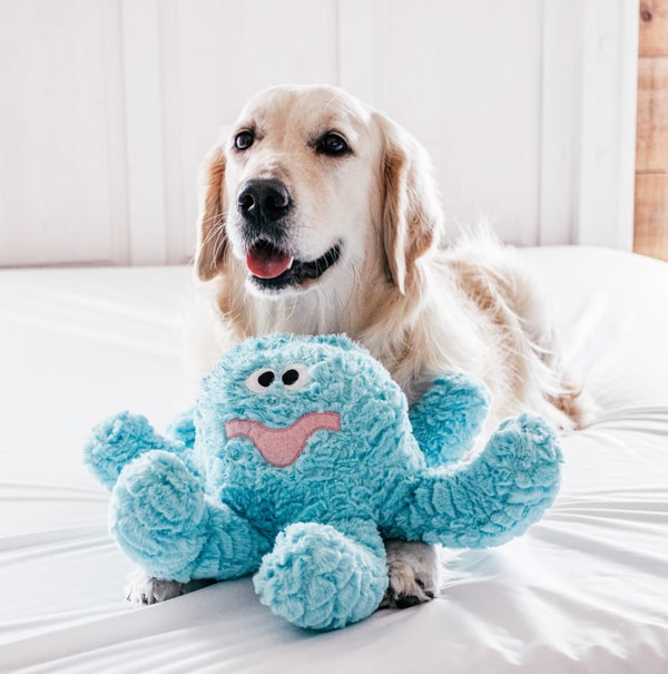 Patchwork Pet Pastel Octopus Review