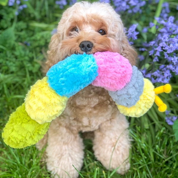 Patchwork Pet Pastel Caterpillar Review