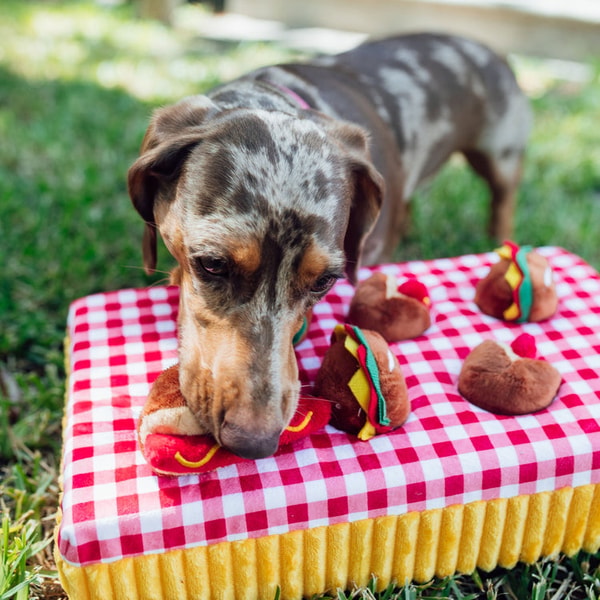 Patchwork Pet Snacks at Picnic Review