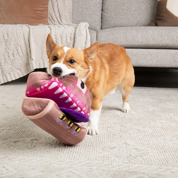 Pawp Culture Mimic Chest Puzzle Plush Dog Toy Review