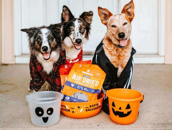Pawstruck Review