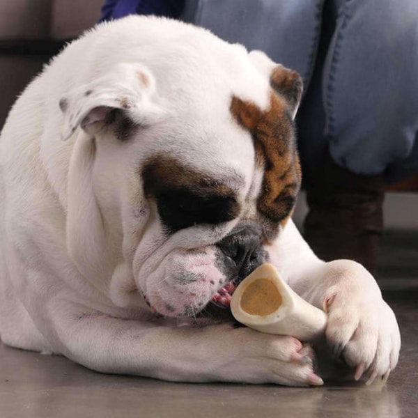 Pawstruck Small Filled Dog Bone Variety Pack Review