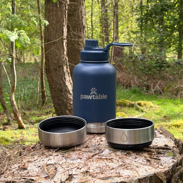 Pawtable 3-in-1 Dog Water Bottle Review