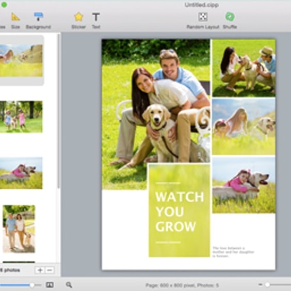PearlMountain CollageIt Review