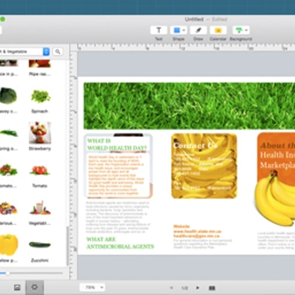 PearlMountain Publisher Plus Review
