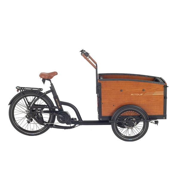 Pedal Go Aitour Family S Review