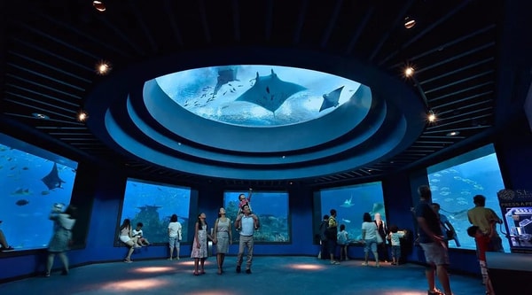 Pelago Singapore Oceanarium Review