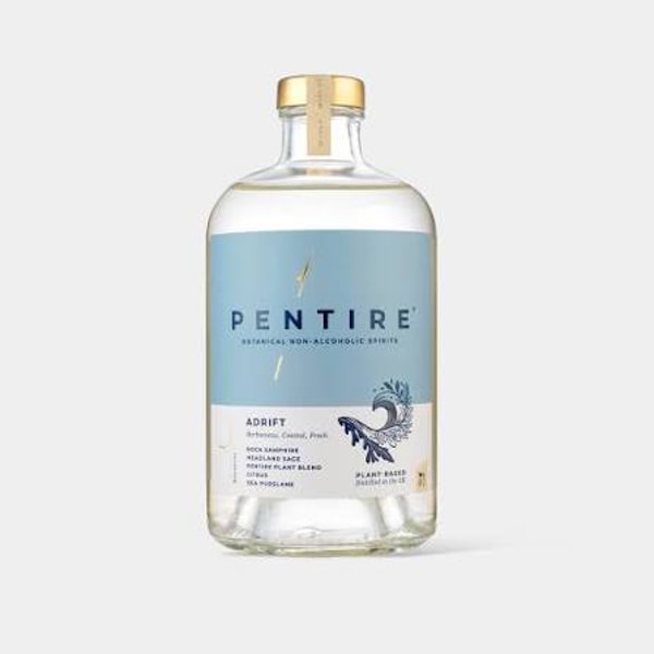Pentire Adrift Review