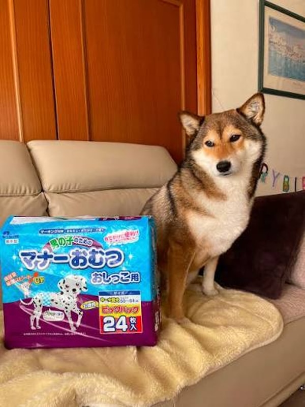 PEPPYについて