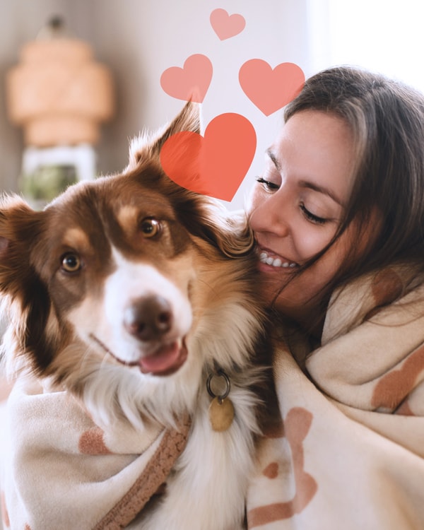 Perfect Pet Lifetime Cover Review