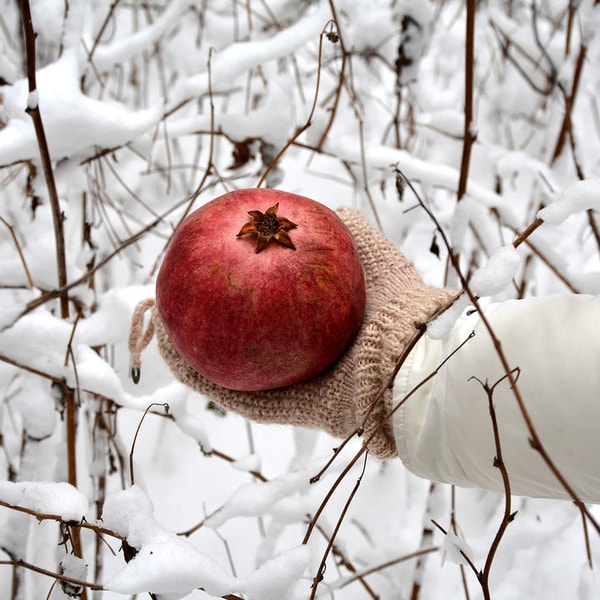 Perfect Plants Nursery Cold Hardy Russian Pomegranate Tree Review