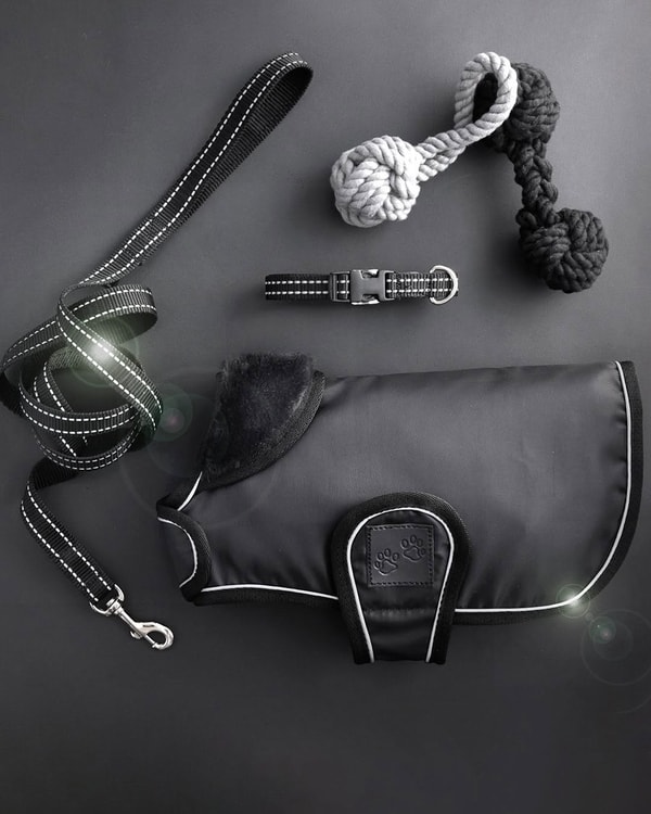 Overview of Pet Passion
