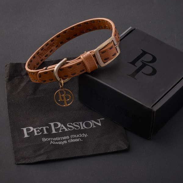 Pet Passion Rein Vegan Leather Collar Review