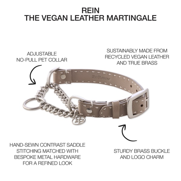 Pet Passion Vegan Rein Leather Martingale Review