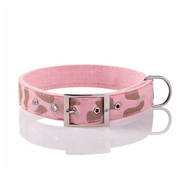Pet Passion Remy II Recycled Ribbon Collar Review