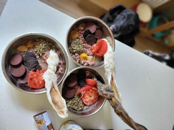 O Pet Shop &Scaron;ape