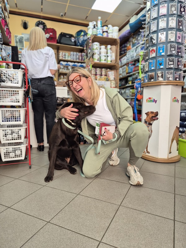 Pet Shop &Scaron;ape Recenzija