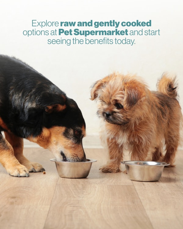 About Pet Supermarket