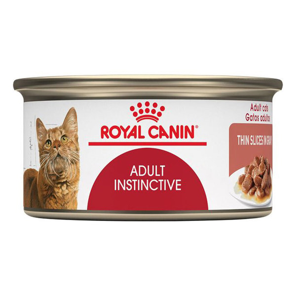 Pet Supermarket Royal Canin Feline Health Nutrition Wet Cat Food Review
