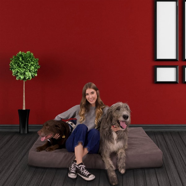 About Pet Support Systems