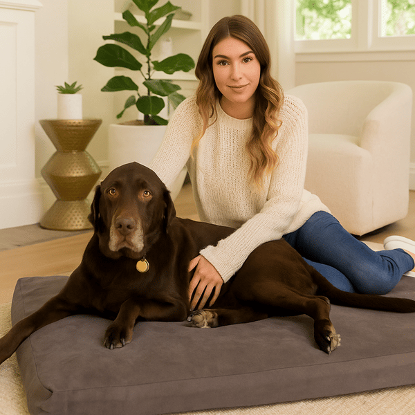 Pet Support Systems Orthopedic Memory Foam Dog Bed Review