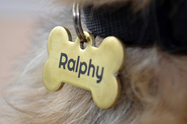 About Pet Tags