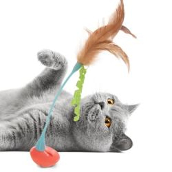 Overview of Pet Valu