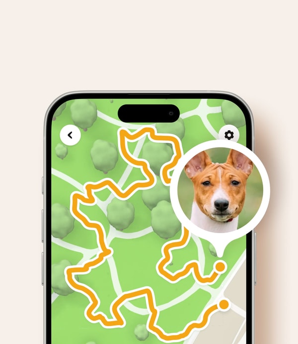 Petcube GPS Tracker Review