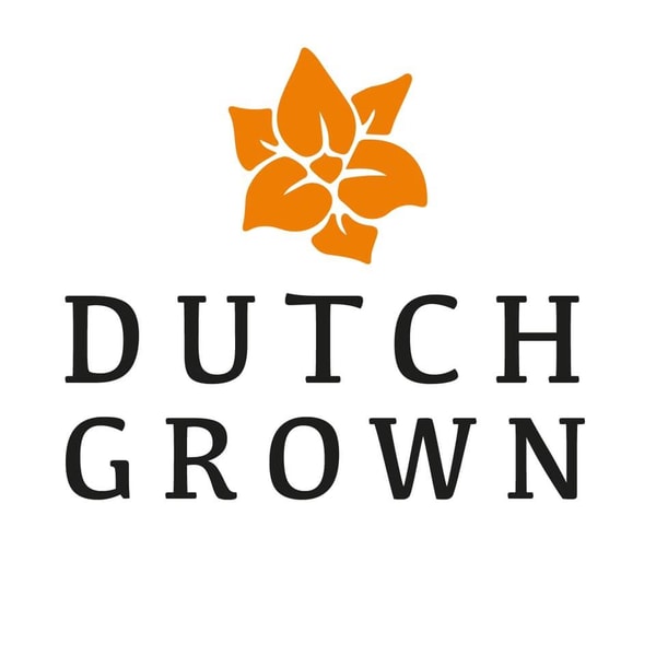 Peter Nyssen vs DutchGrown