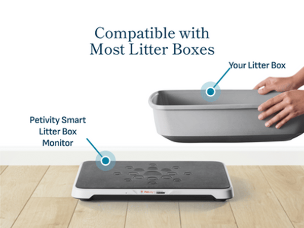 Petivity Smart Litter Box Monitor Review