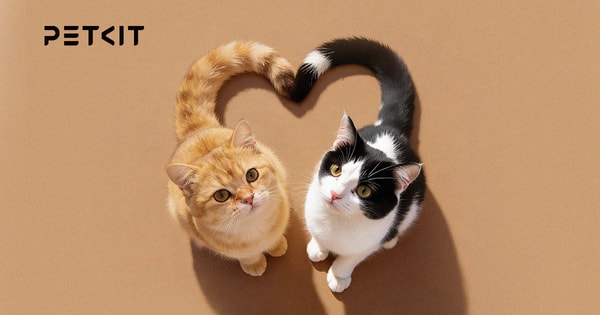 About PetKit Smart Pet Care Solutions