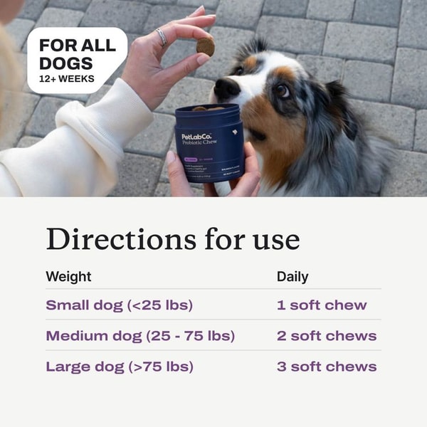 PetLab Co. Probiotic Chews Review