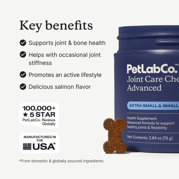 PetLab Co. Advanced Joint Care Chew Review