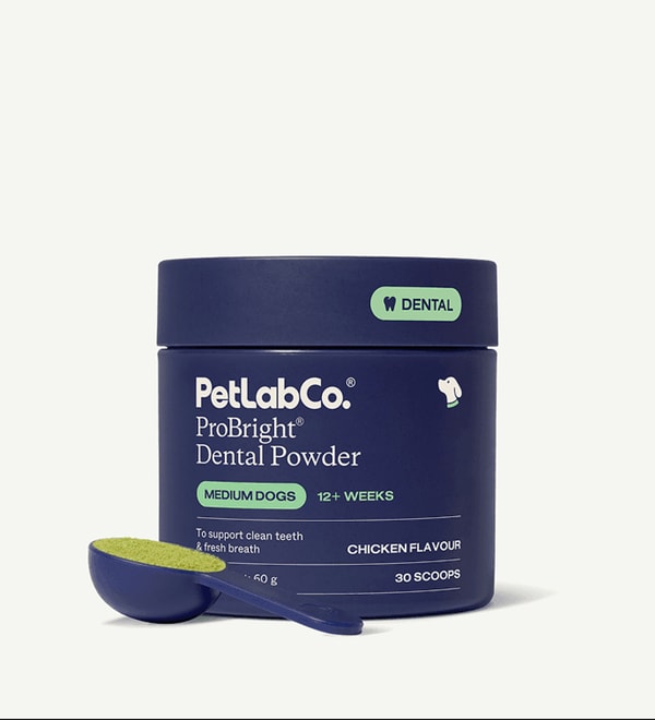 PetLab Co. ProBright&reg; Dog Dental Powder Review