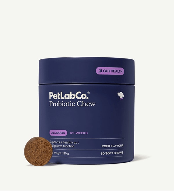 PetLabCo. Probiotic Chew Review