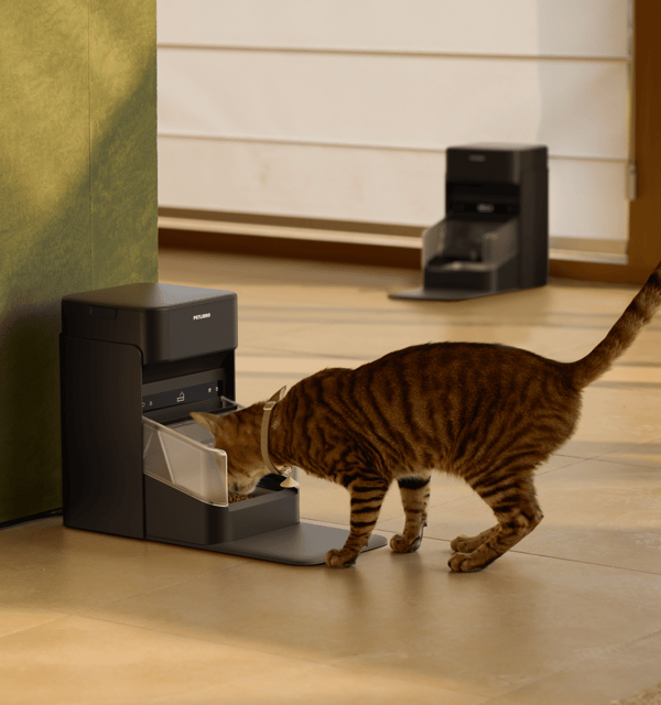 Petlibro One RFID Smart Feeder Review