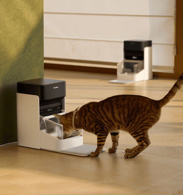 Petlibro One RFID Smart Feeder Review
