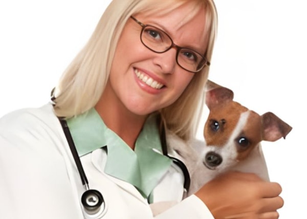 Inside the World of PetPremium