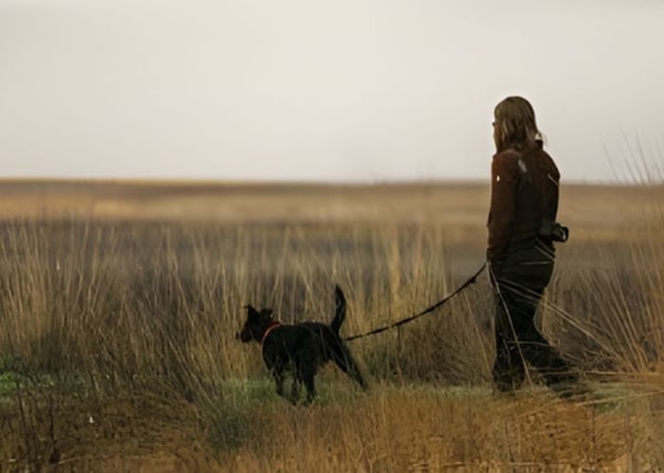 PetPremium Total Coverage Reviews