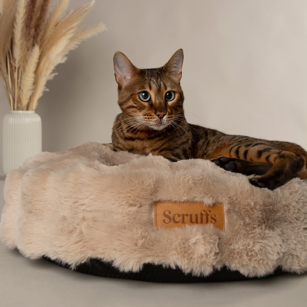 About Pets Love Scruffs Brand