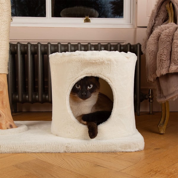 Pets Love Scruffs Review