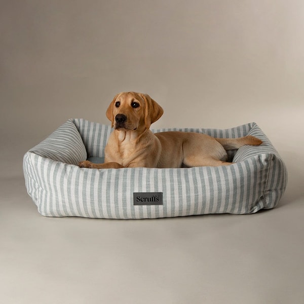 Pets Love Scruffs Coastal Box Bed Review