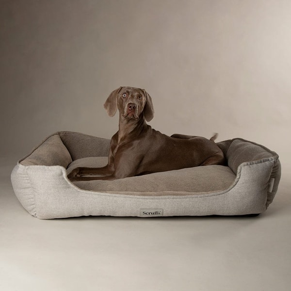 Pets Love Scruffs Harvard Memory Foam Bed Review