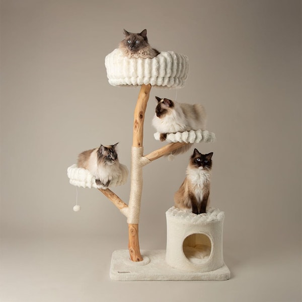 Pets Love Scruffs Pyrenees Cat Scratcher Review
