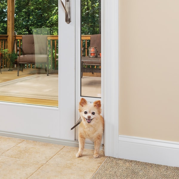About PetSafe