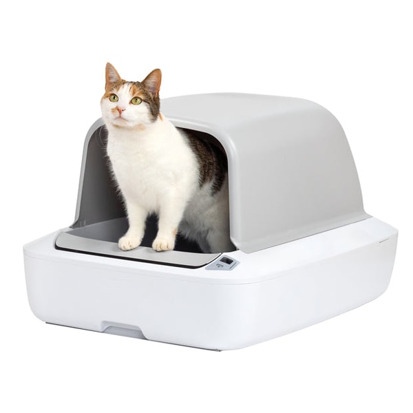 PetSafe ScoopFree Crystal Pro Review
