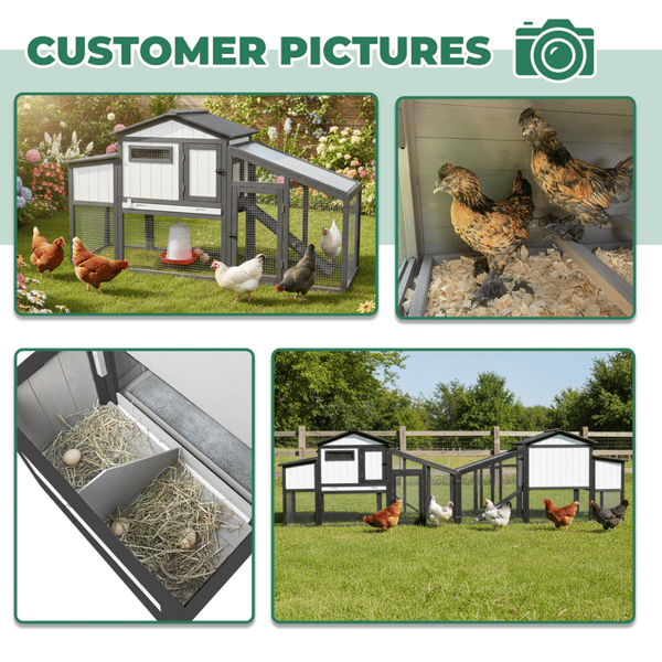 PETSCOSSET Small Chicken Coop with Run Review
