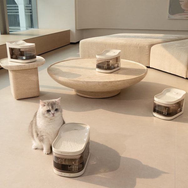 About Petsnowy