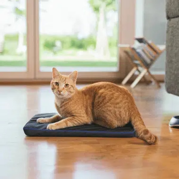 Petspemf Review
