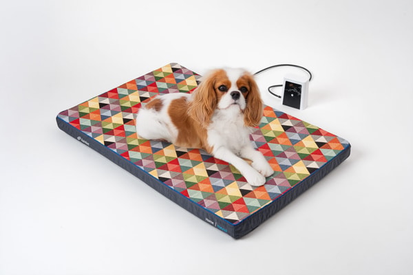 Petspemf RollnRest Review